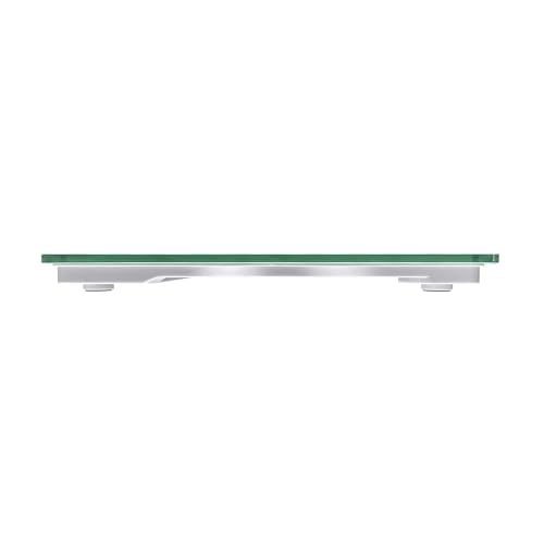 Taylor Digital Scale 350 LB Gray