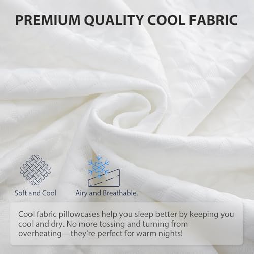 COLDHUNTER Wedge Pillow for Sleep and Recovery