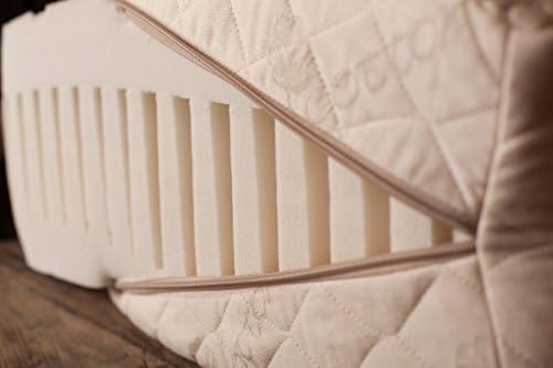 Churchill Smith 8 Reflux Bed Wedge Pillow with Organic Cotton Cover