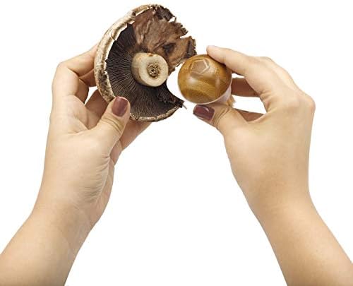 Full Circle FunGuy Mushroom Cleaning Brush Green