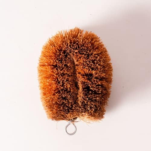 Growbycoco Pack of 6 Tawashi Coconut Coir Cleaning Brushes 1