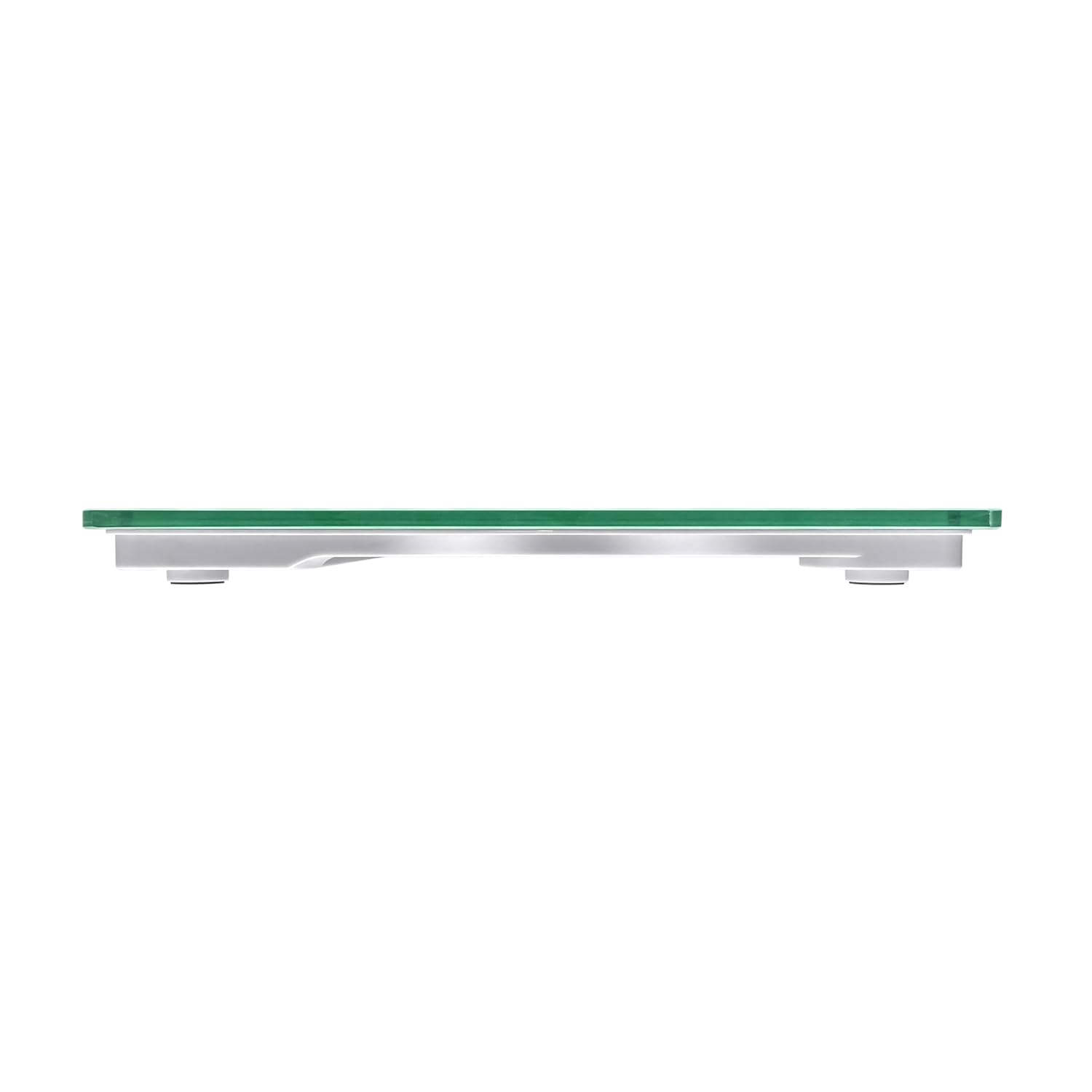 Taylor Digital Scale 350 LB Gray