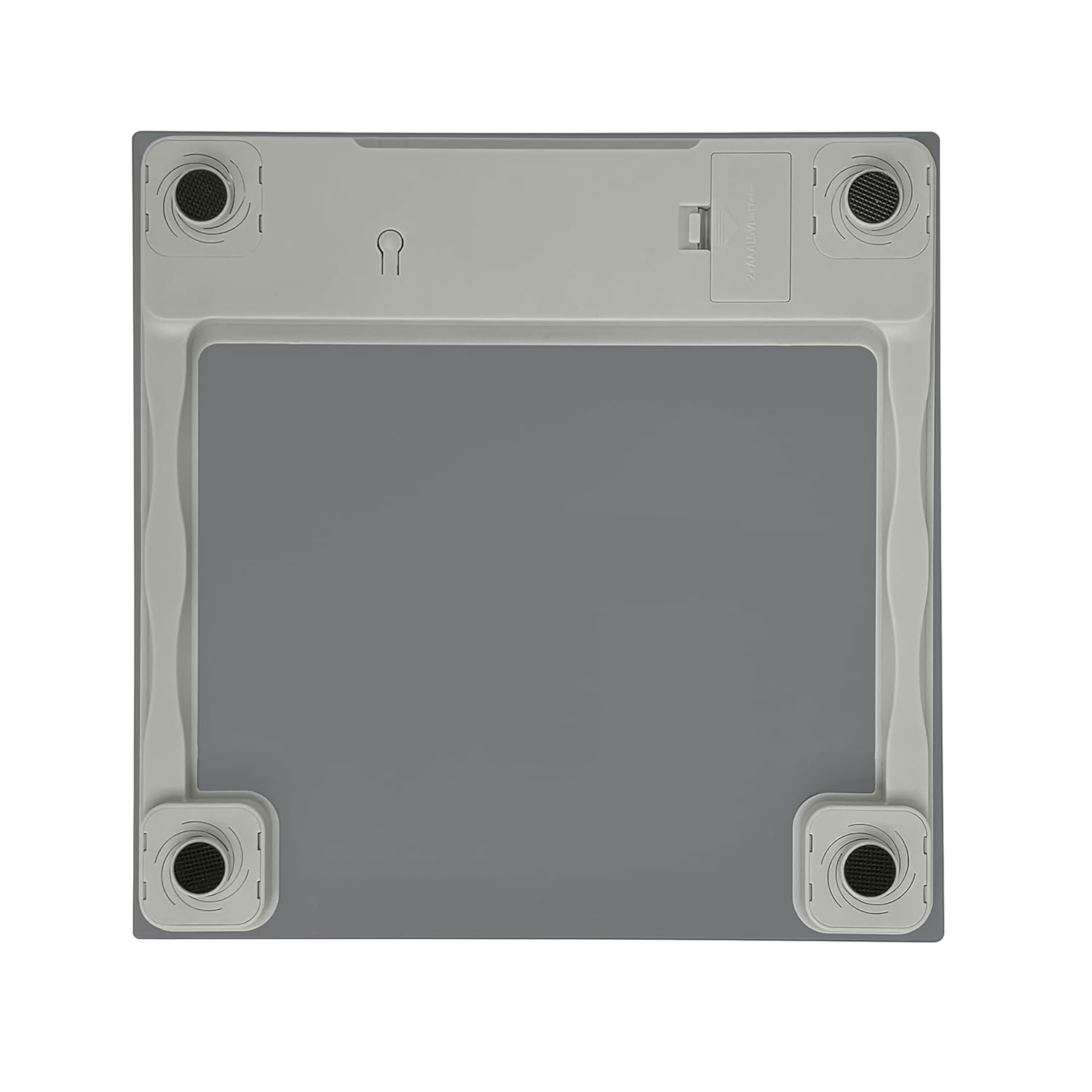 Taylor Digital Scale 350 LB Gray
