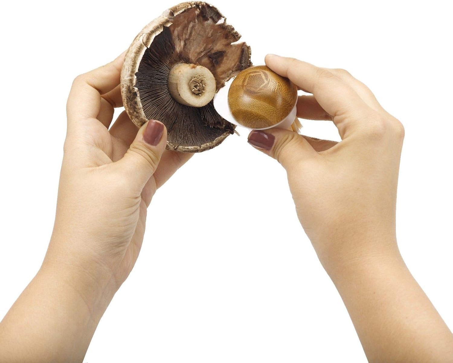 Full Circle FunGuy Mushroom Cleaning Brush Green