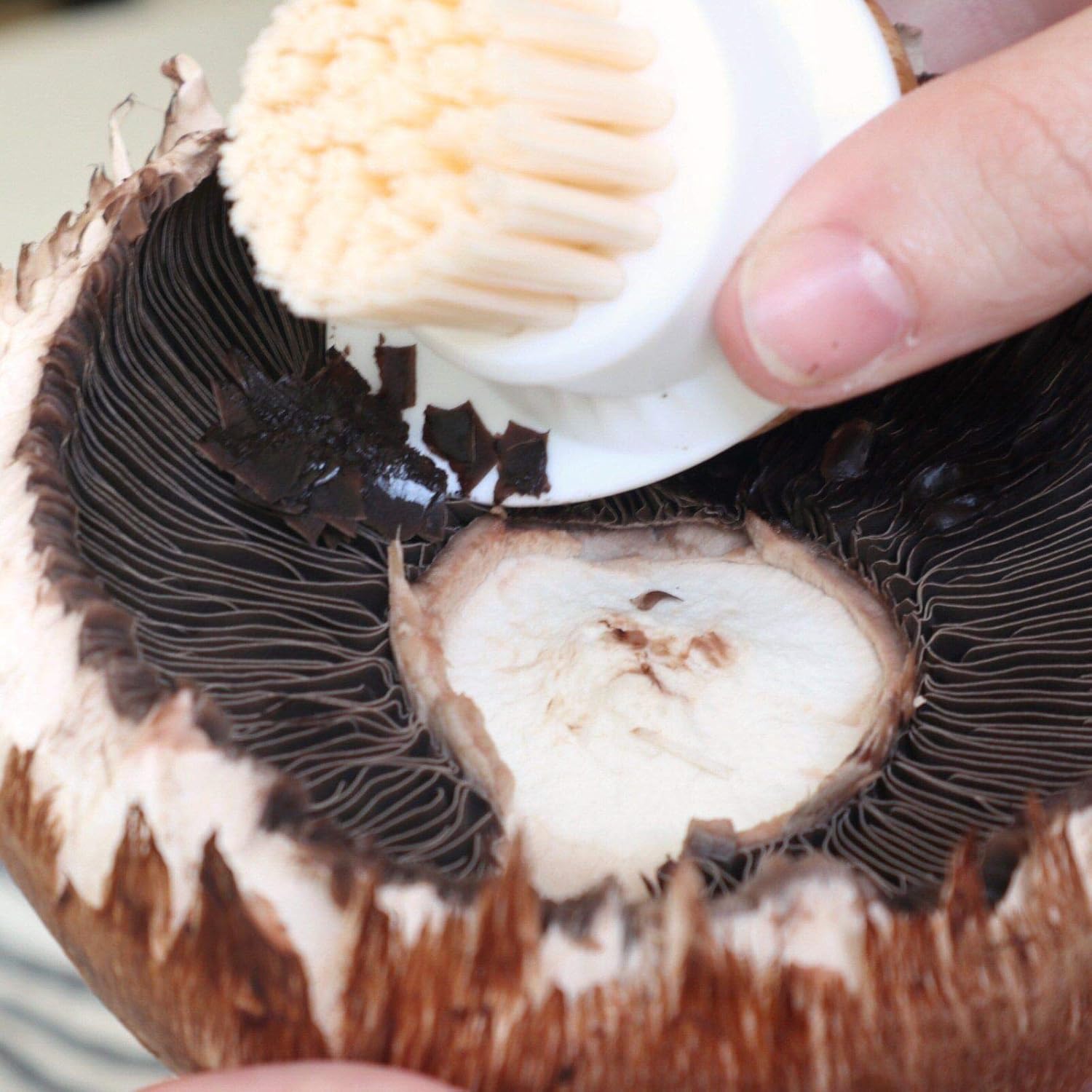 Full Circle FunGuy Mushroom Cleaning Brush Green