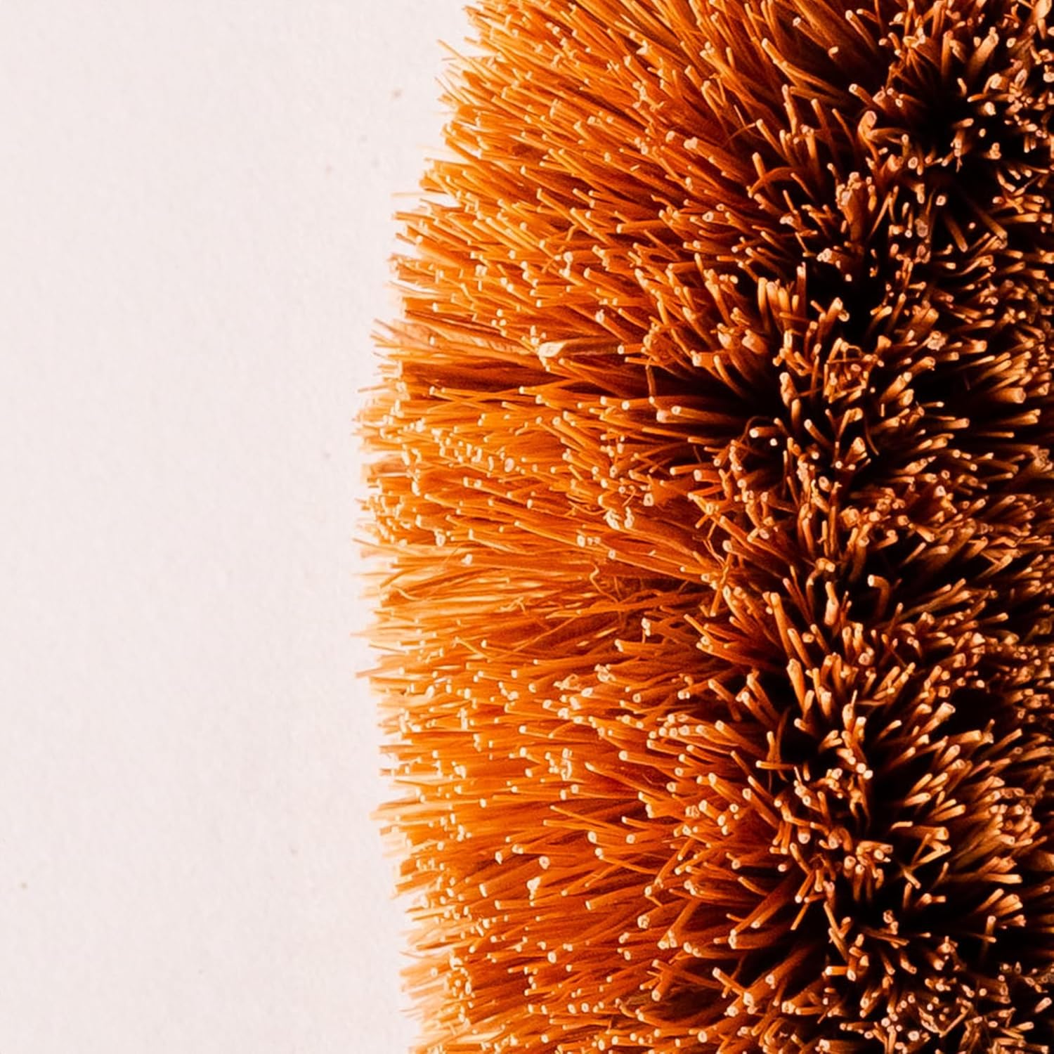 Growbycoco Pack of 6 Tawashi Coconut Coir Cleaning Brushes 1
